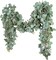 Citrus; Eucalyptus Garland 6.56 Ft Lush Silver Dollar Leaves Boxwood Artificial Faux Greenery Vines for Baby Shower Wedding Party Table Runner Room Home Mantle Decor; Category:Spring Greenery Garlands; Image:2